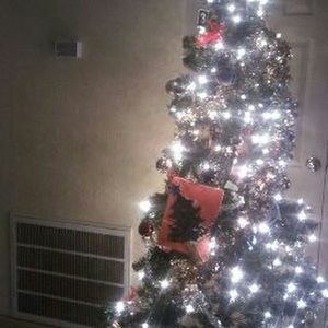 Meet your Posher, Loyce